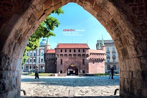 分享快樂-你的興趣和快樂會感染到別人嗎？