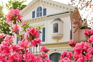 火牛視頻，給大家看看真正的火牛視頻！