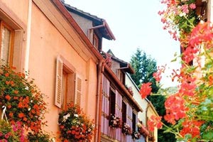 火牛視頻，給大家看看真正的火牛視頻！