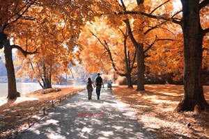 火牛視頻，給大家看看真正的火牛視頻！